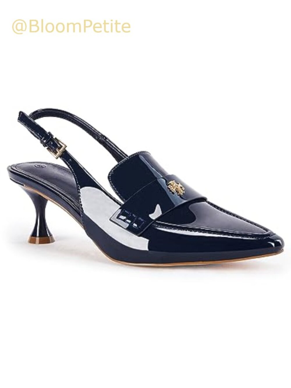 Women's Pointed Toe Slingback Kitten Heel Pumps Ankle Buckle Dress Shoes